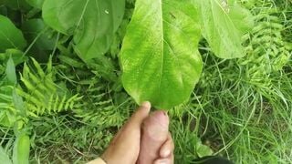 Big Cock Cumshot in Natural Garden, Outdoor Cumshot Desimast - BussyHunter.com