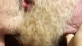 hairy bears passionate kissing2