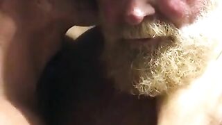 hairy bears passionate kissing2