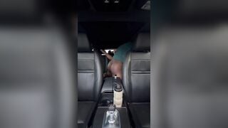 CO Sub Bottom Fun in the Car